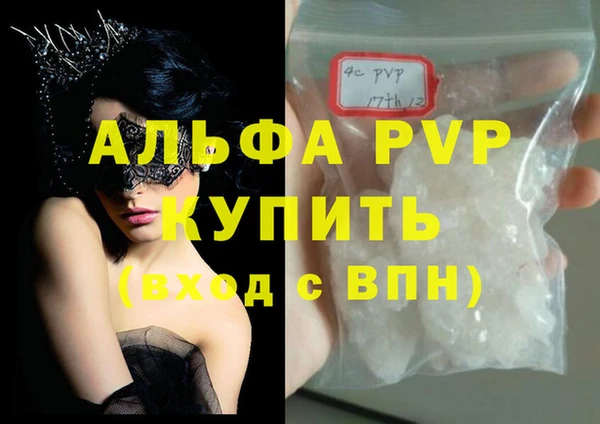 стаф Горнозаводск