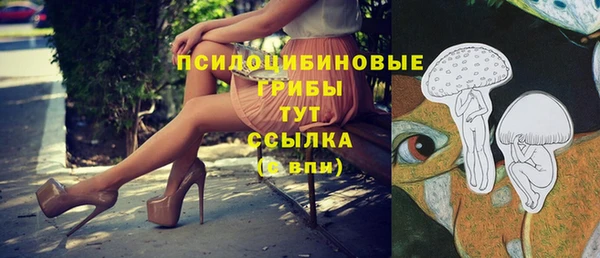 стаф Горнозаводск