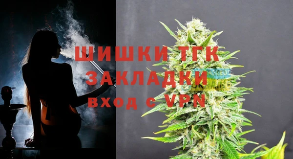 стаф Горнозаводск