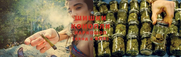 стаф Горнозаводск