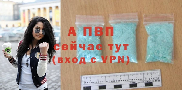 стаф Горнозаводск