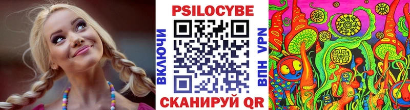 Купить  Починок  Галлюциногенные грибы Psilocybe 